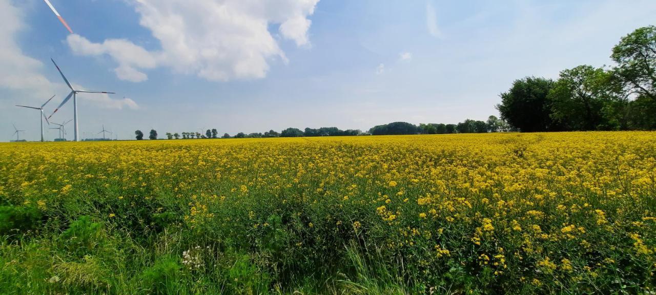 Ferienwohnung Goden-Wind Westerdeichstrich エクステリア 写真